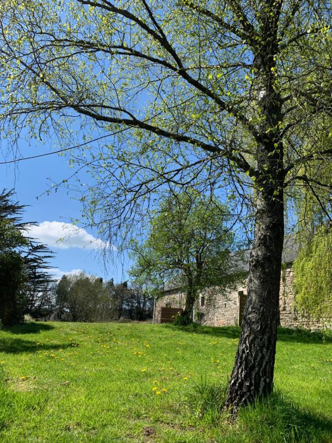 Domaine De La Blanche Hermine Plounerin Eksteriør billede